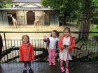 Zoo de Bale