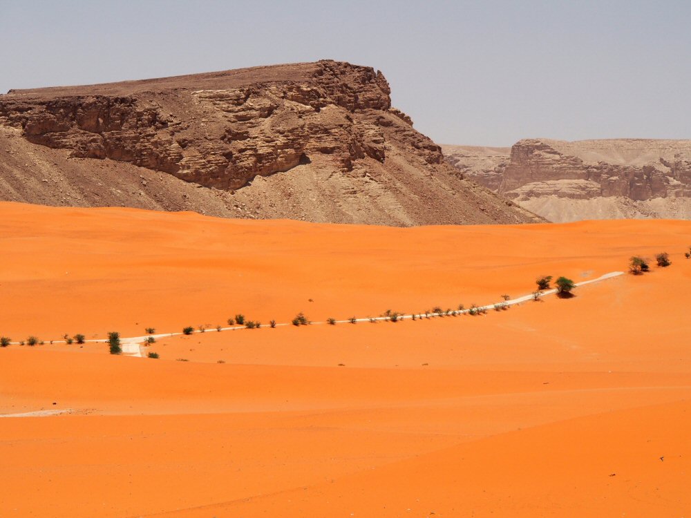 Les dunes rouges, Riyadh