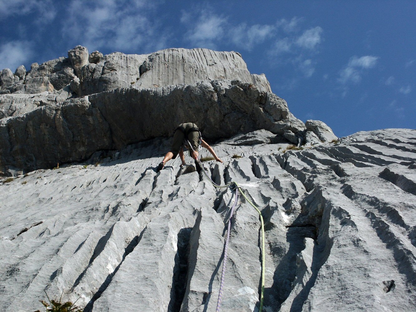 Gants Rouges du Cardinal