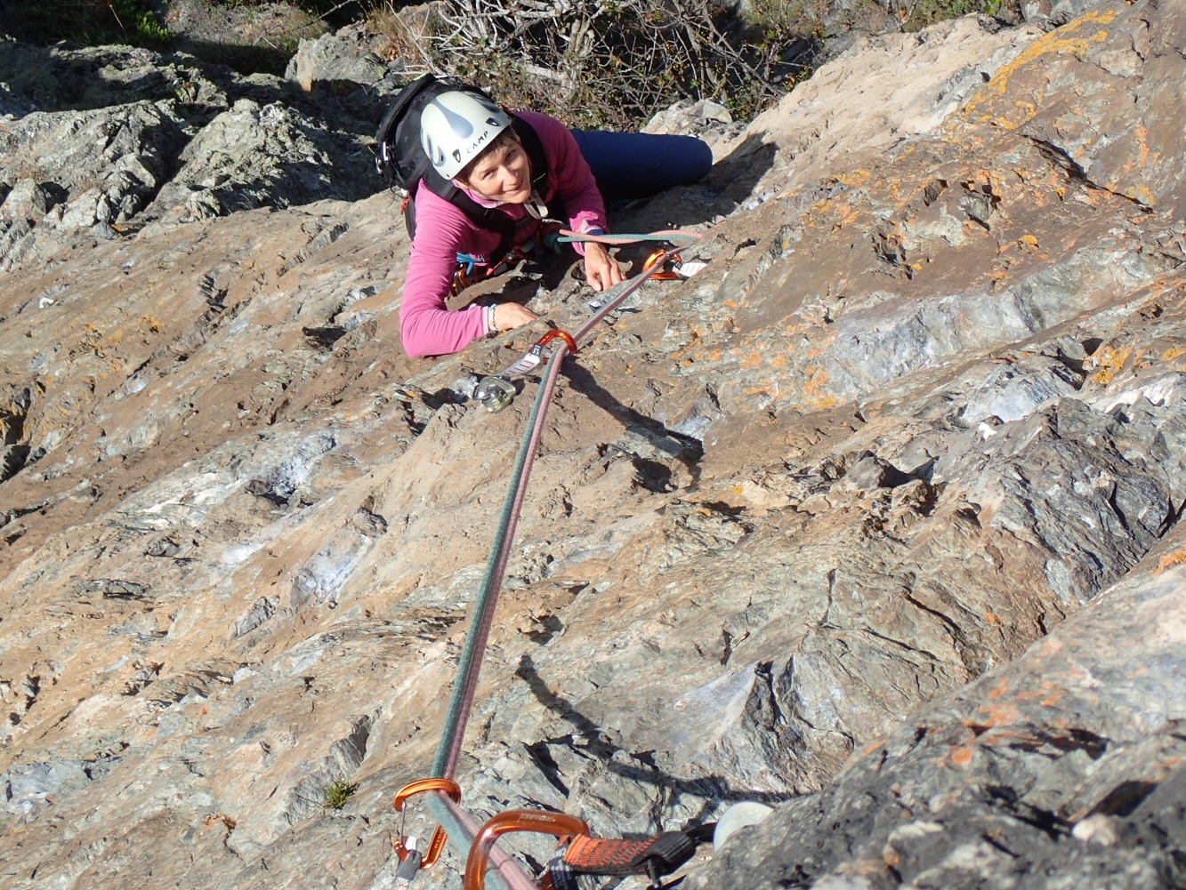 Pissechèvre - Farinet