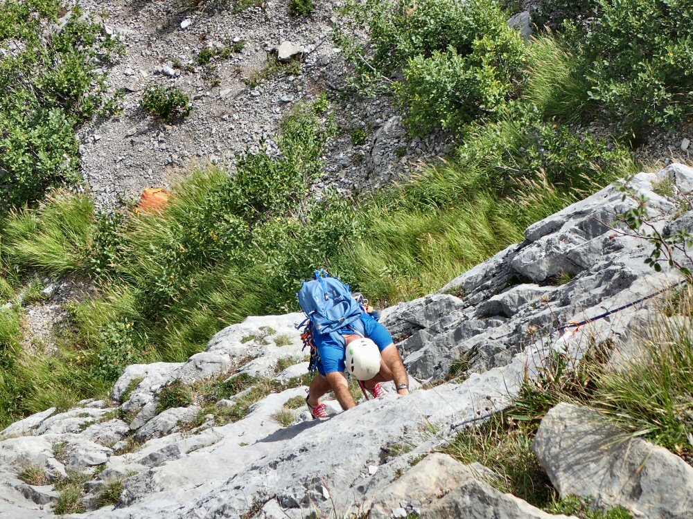 Les Modzets de la Patronne