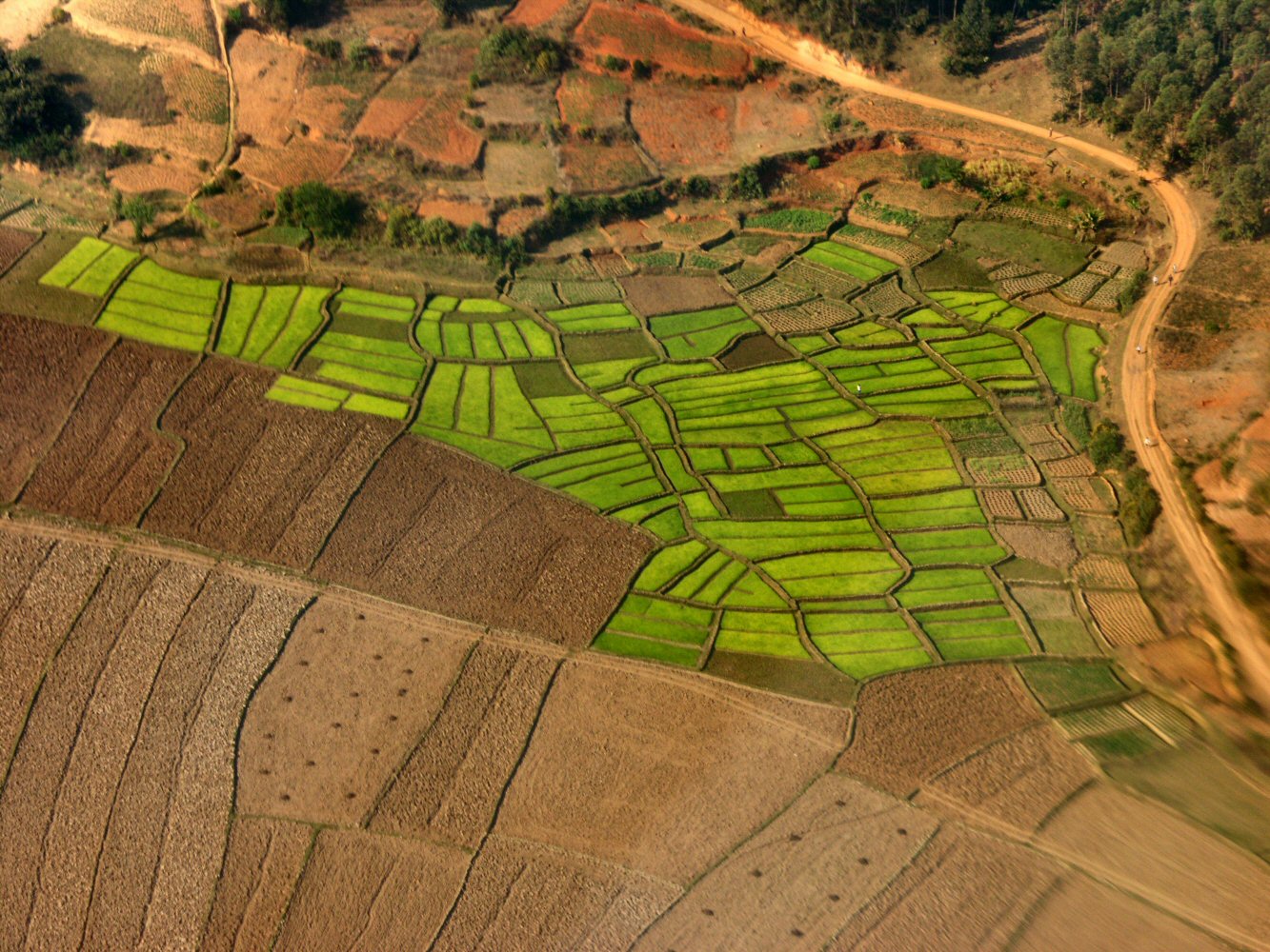 Madagascar 2012