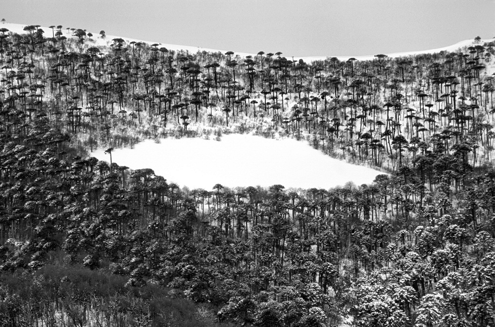 2002 chile lonquimay