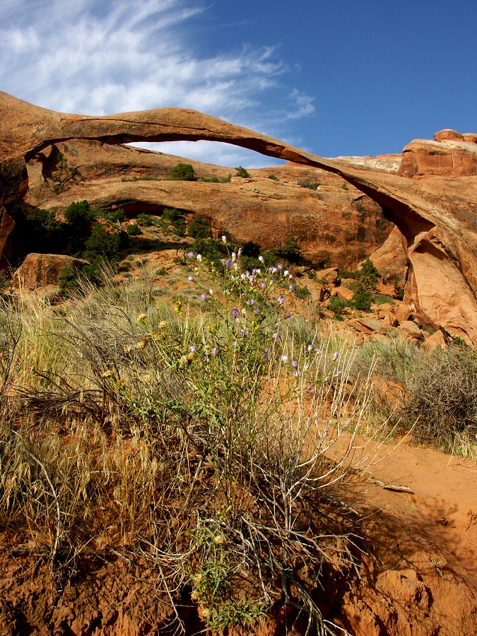 2005 utah arch02