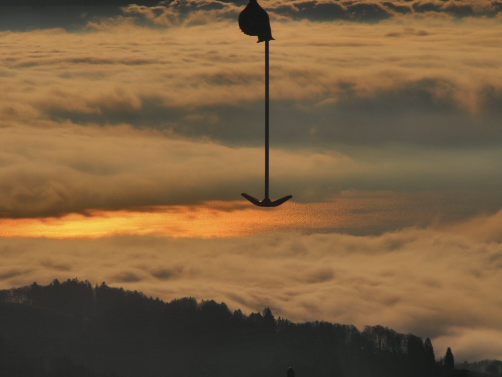 20201128 perche du leman