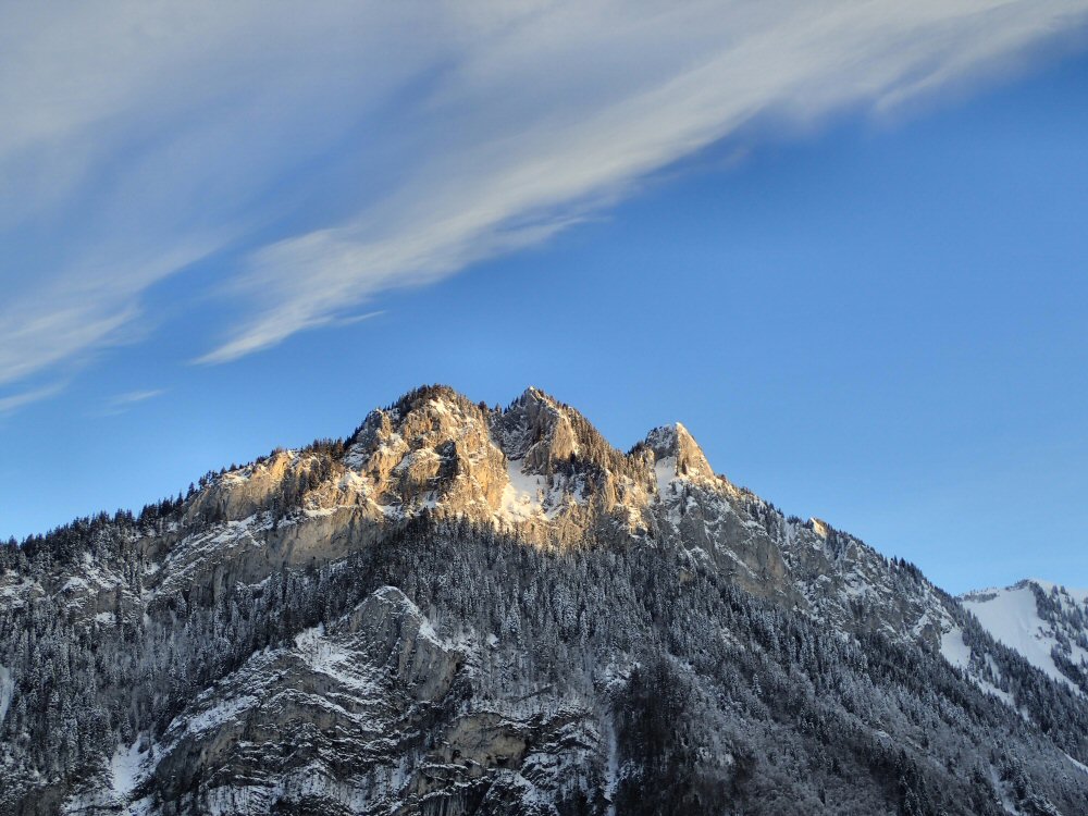 20210119 dent vounetse