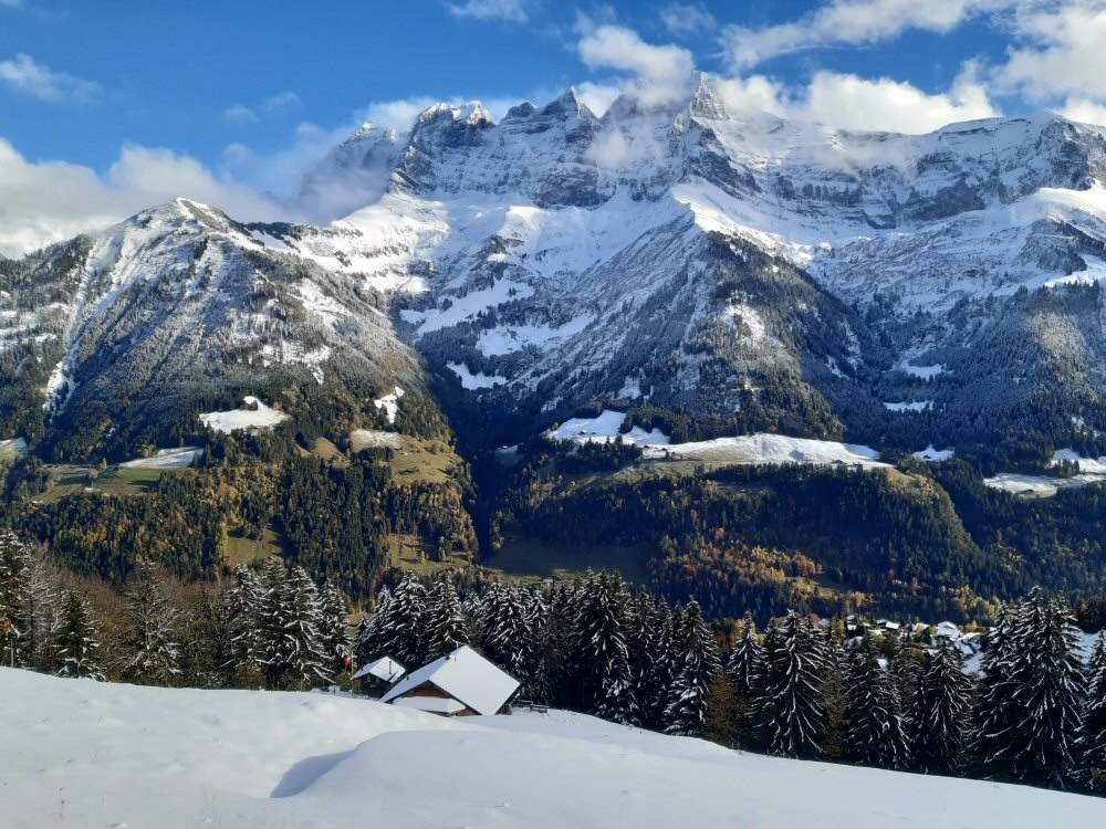 20231111 dentmidi