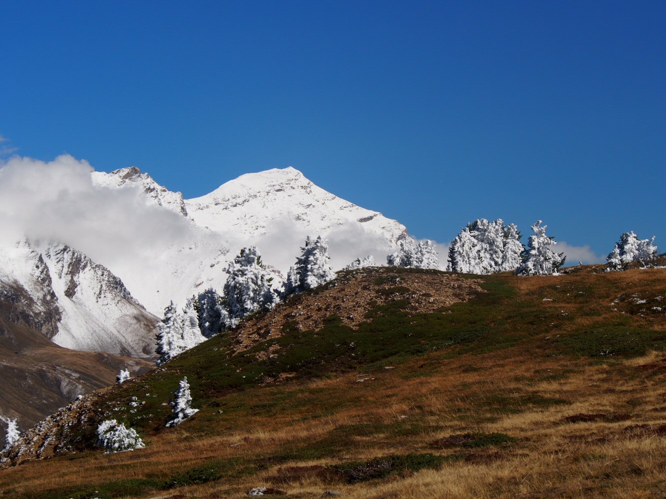 20241005 VACE VDLA FR VJ 1010065