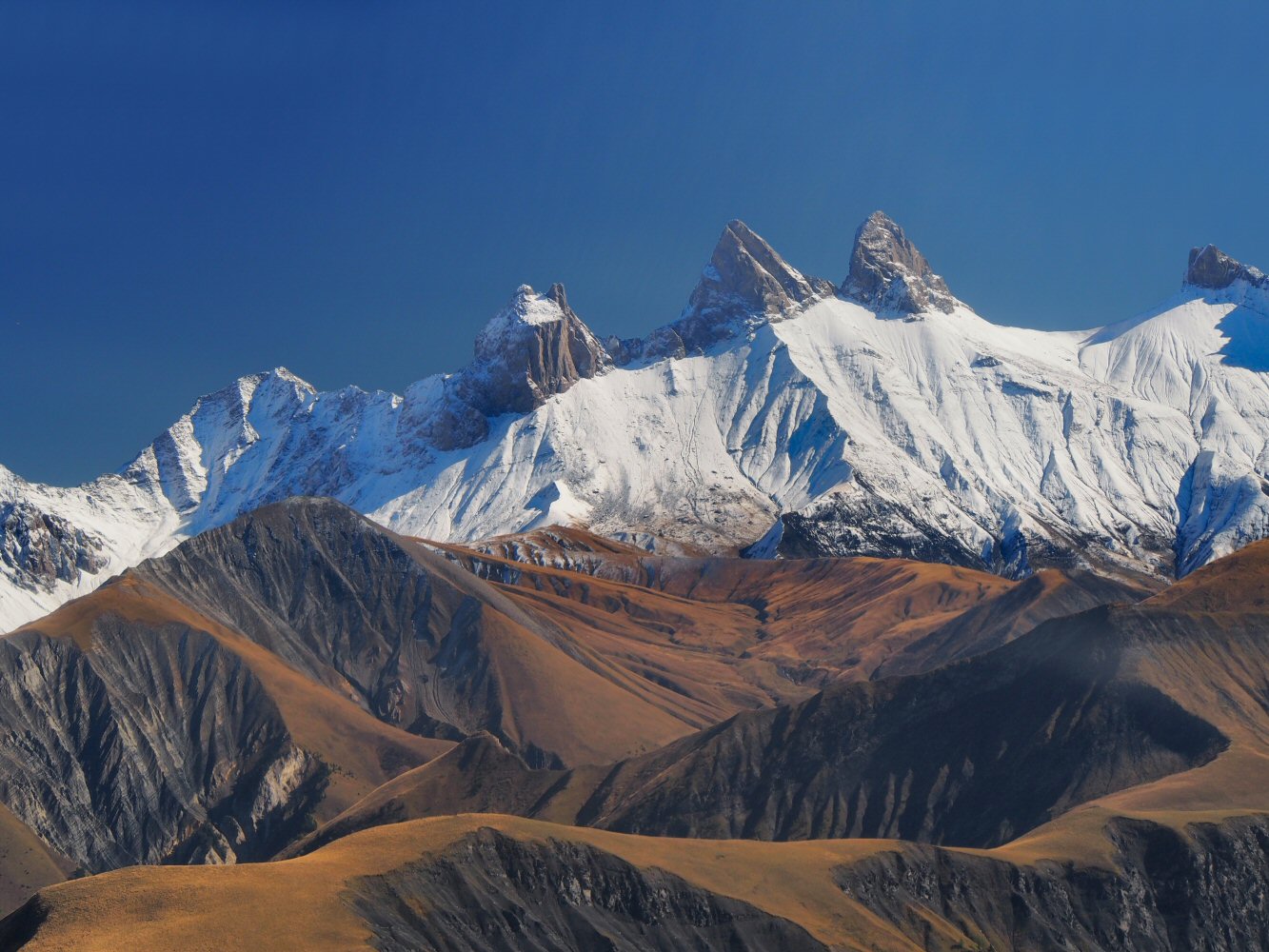 20241005 VACE VDLA FR VJ 1010116