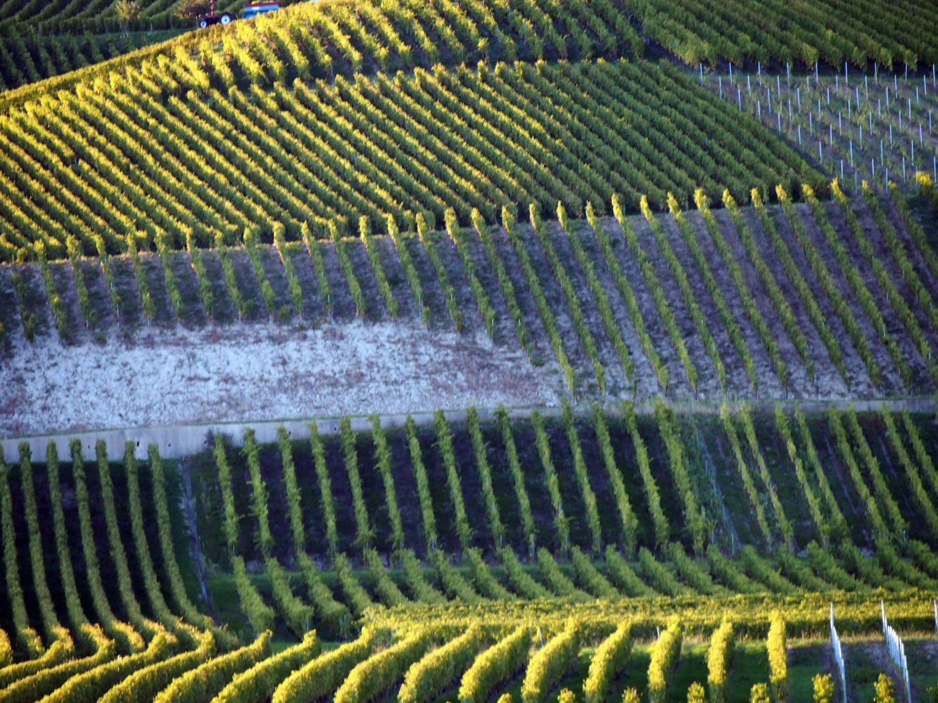 20241005 VACE VDLA FR VJ 1010125