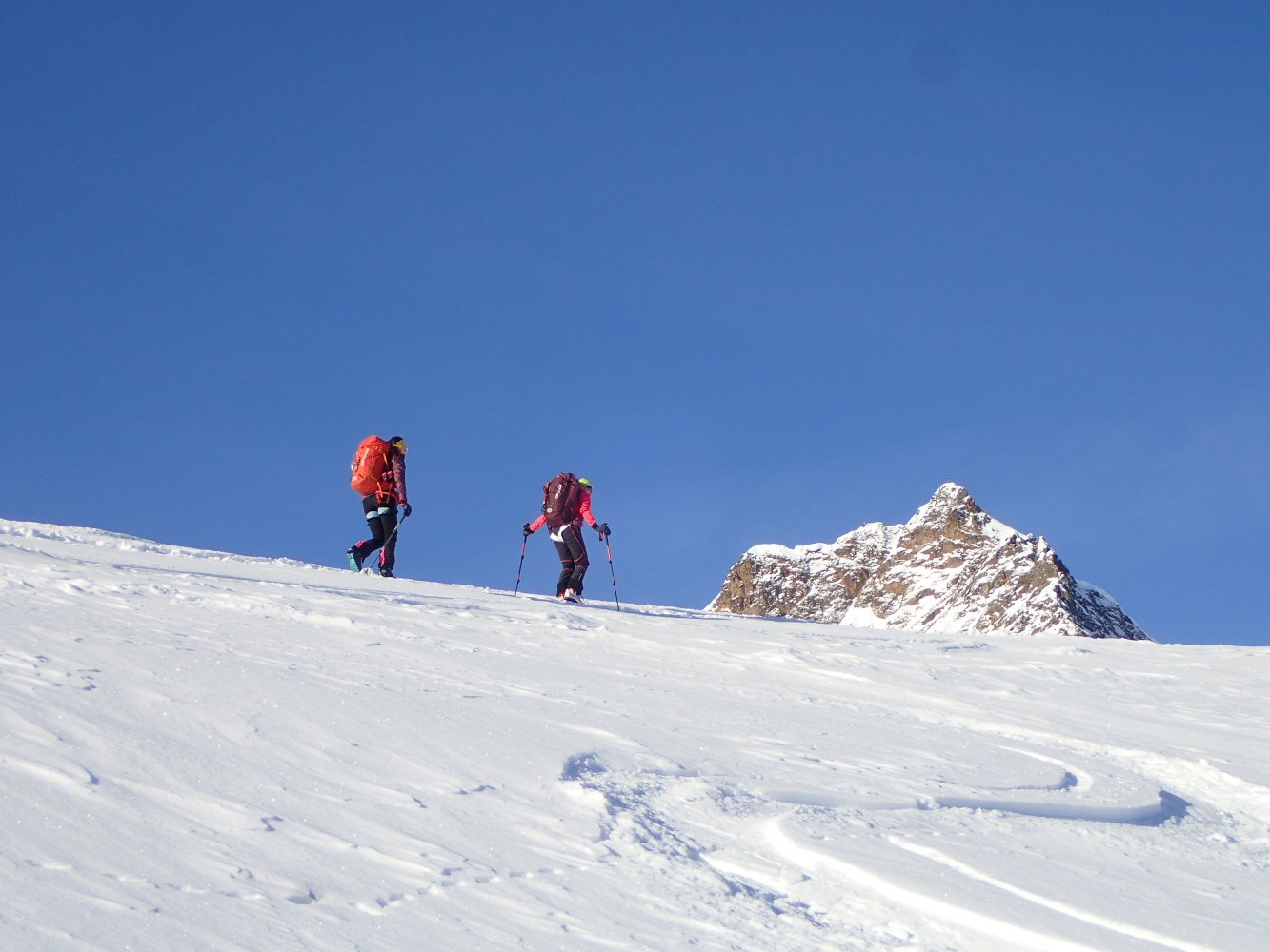 20250216 silvretta24