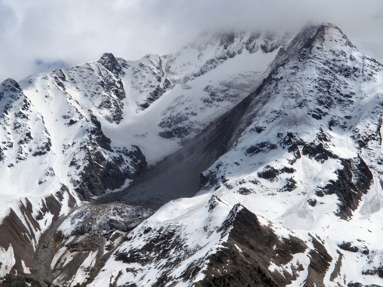 20250523 kl nesthorn