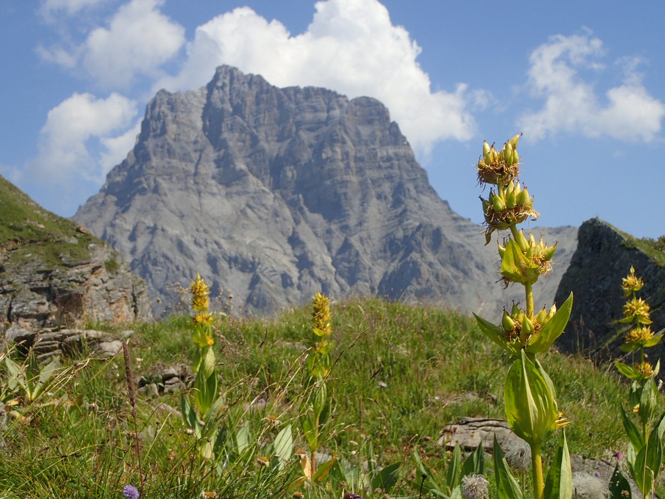 20250810 savolaire34