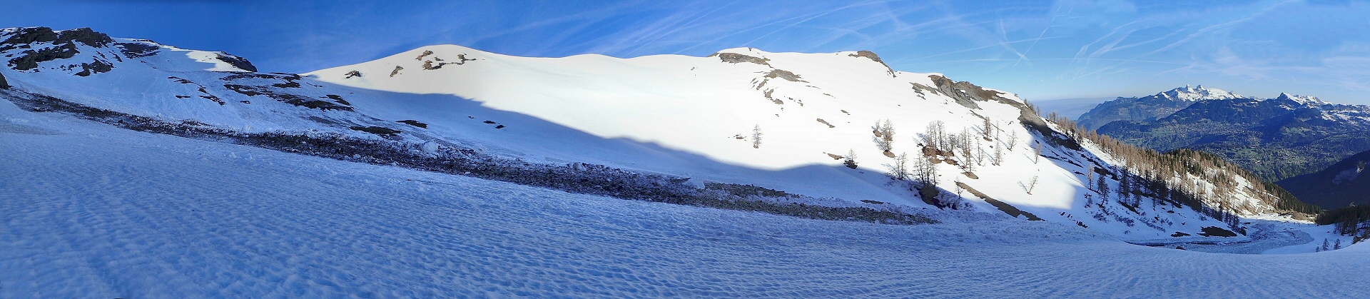 Avalanche prefleuri small