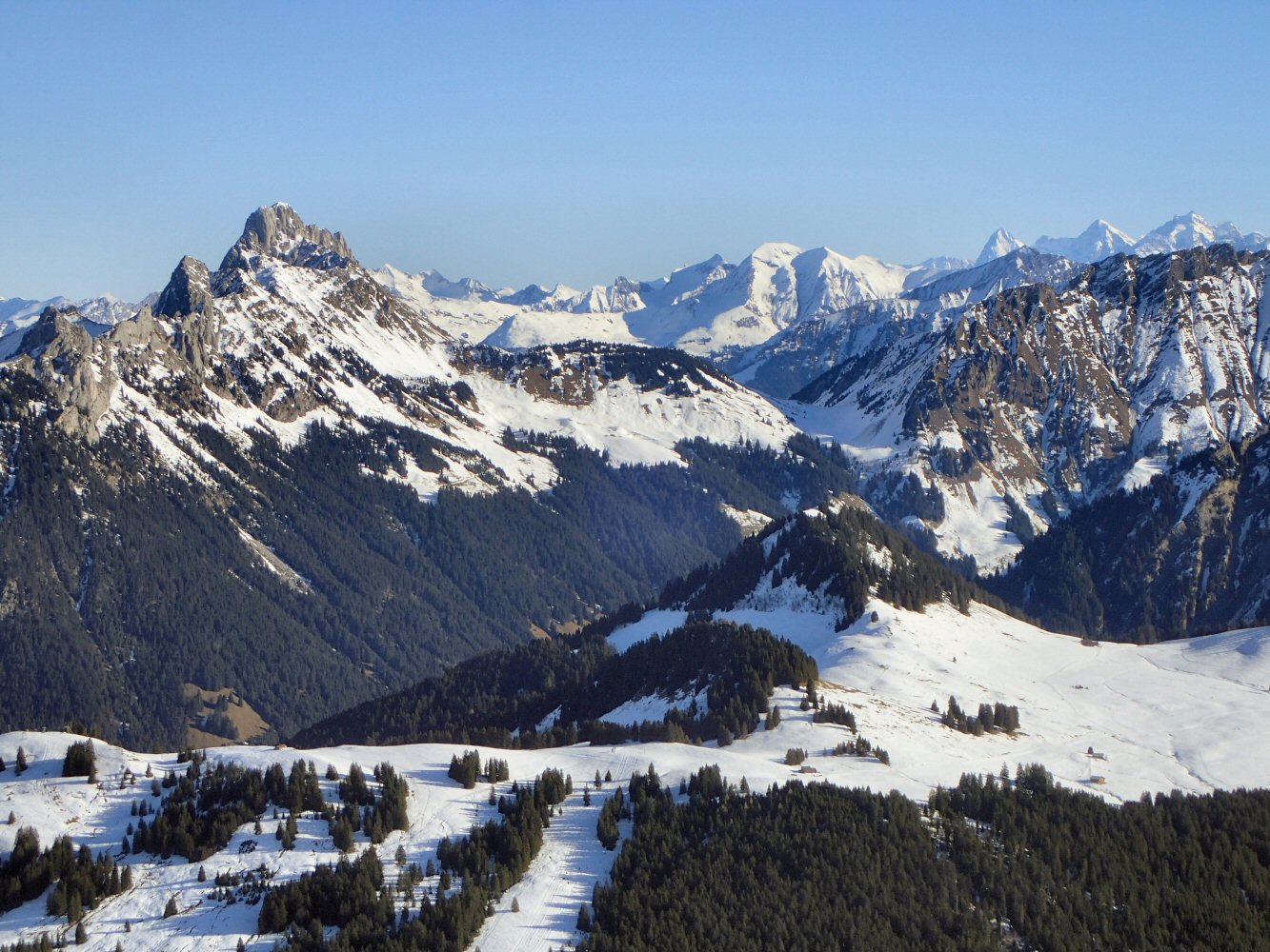 20251214 Gos Van 140009