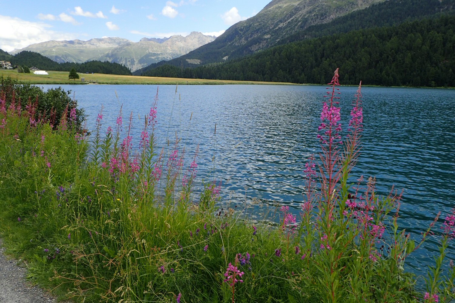 20260718 maloja 7180037