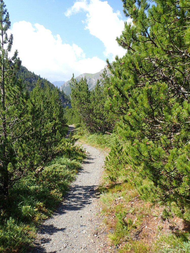 20260721 ofenpass schampf 7210114