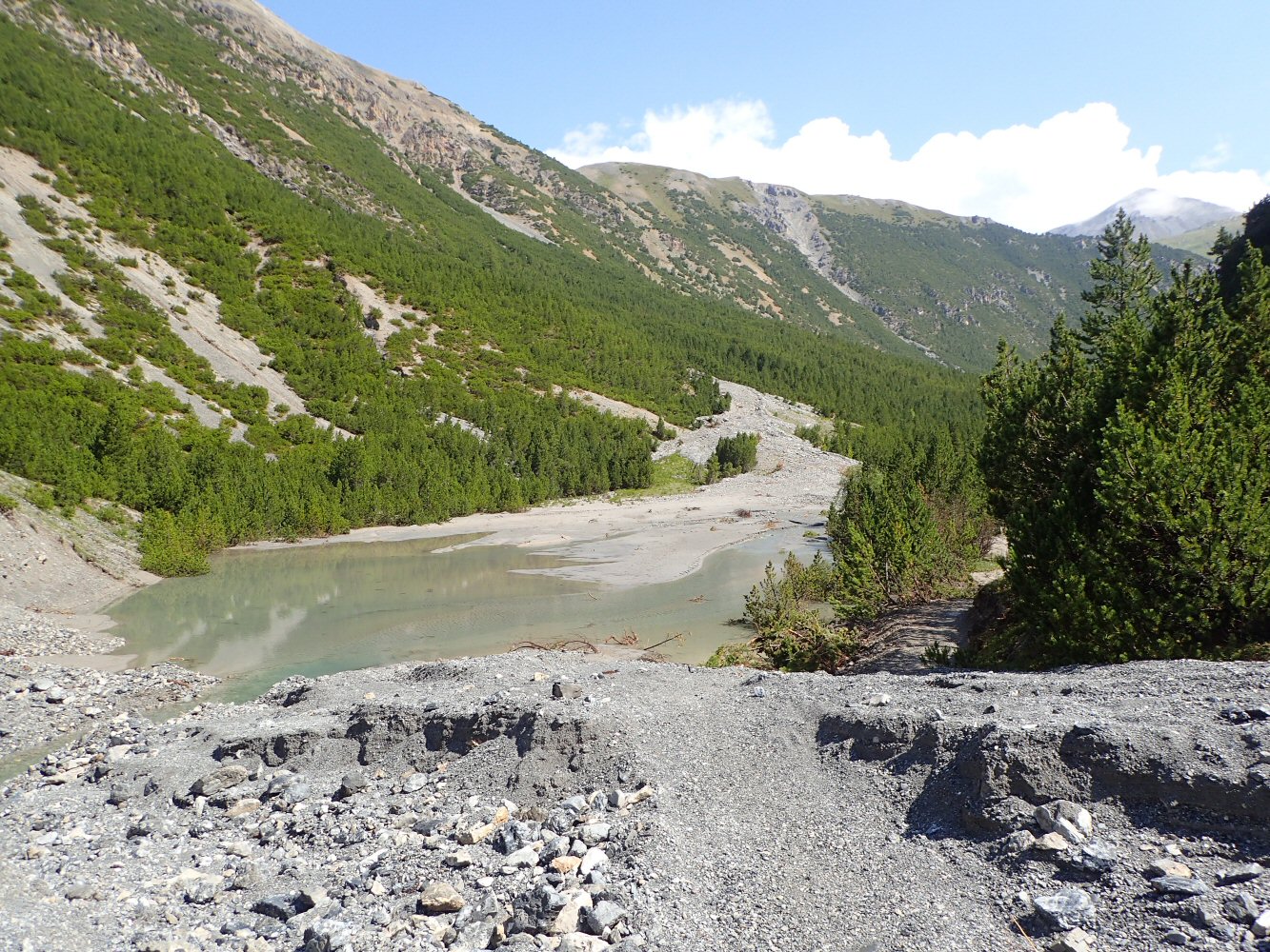 20260721 ofenpass schampf 7210115