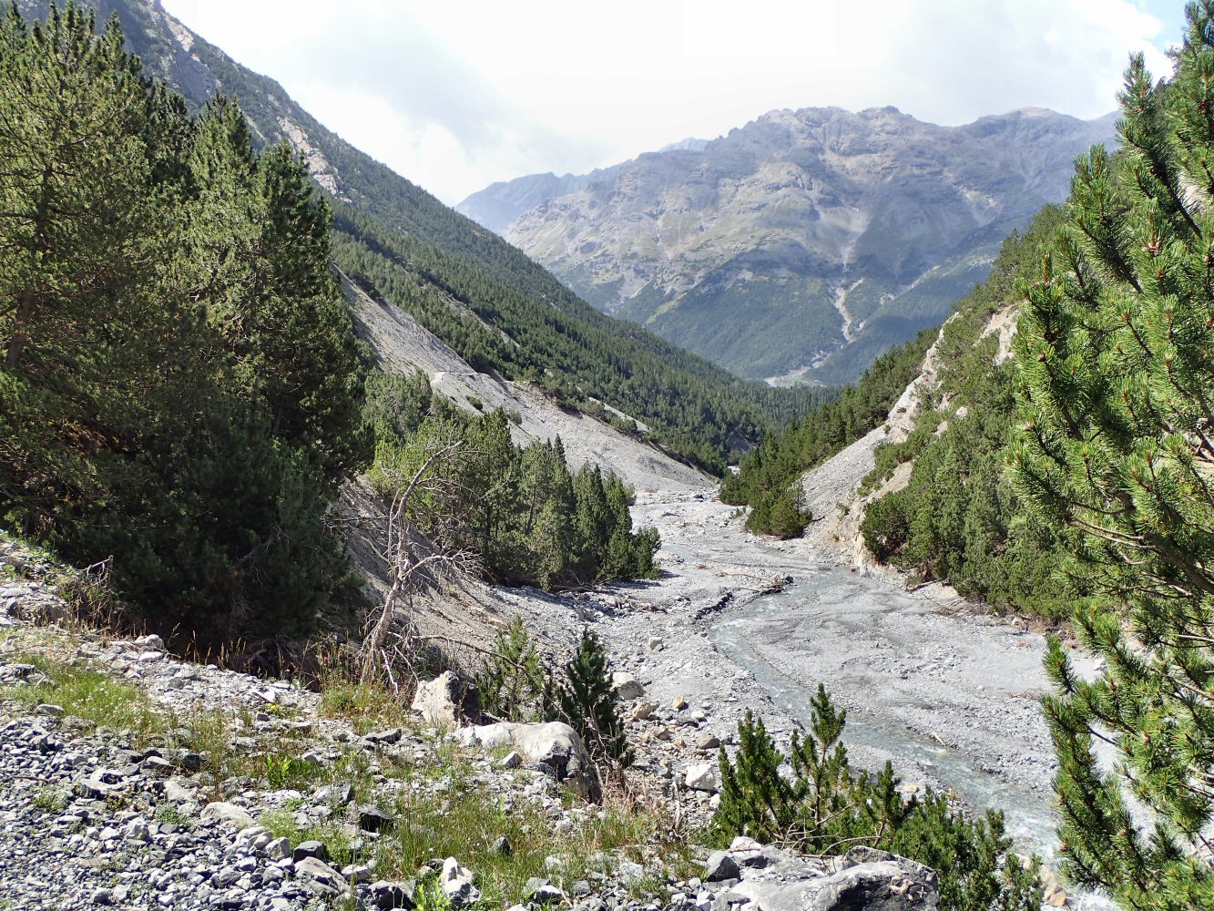 20260721 ofenpass schampf 7210117