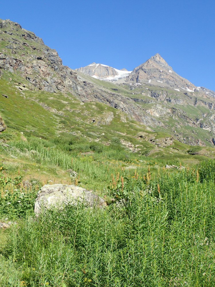 20260627 mauvoisin 6270003