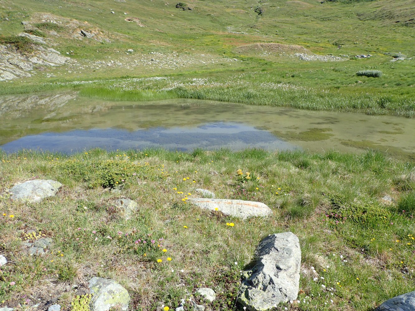 20260627 mauvoisin 6270008