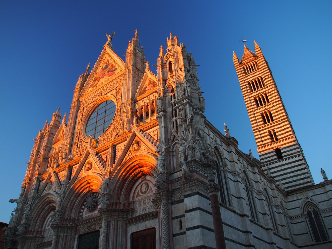 20261012 bolo rome E03 A121688