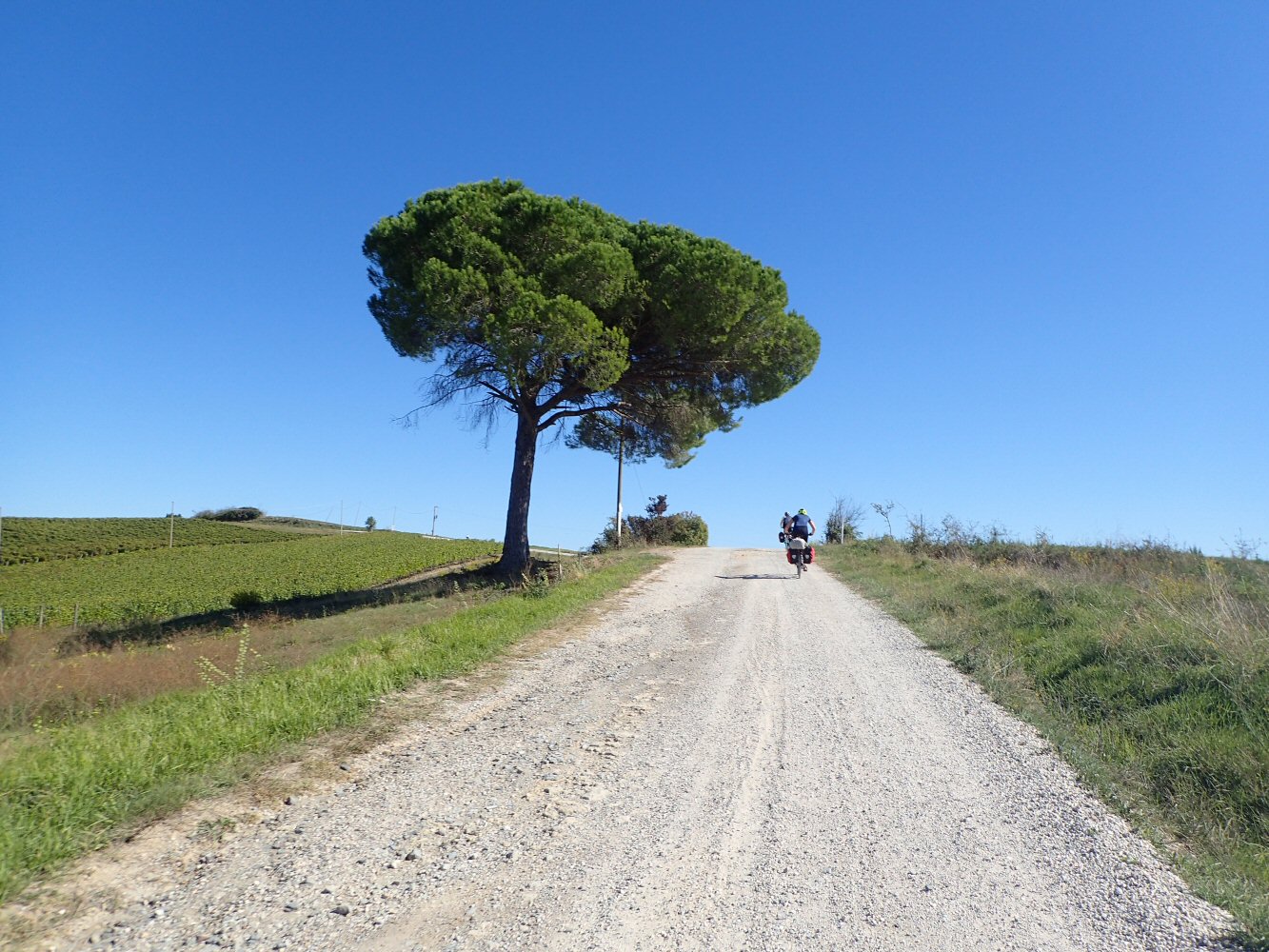 20261013 bolo rome E04 130051