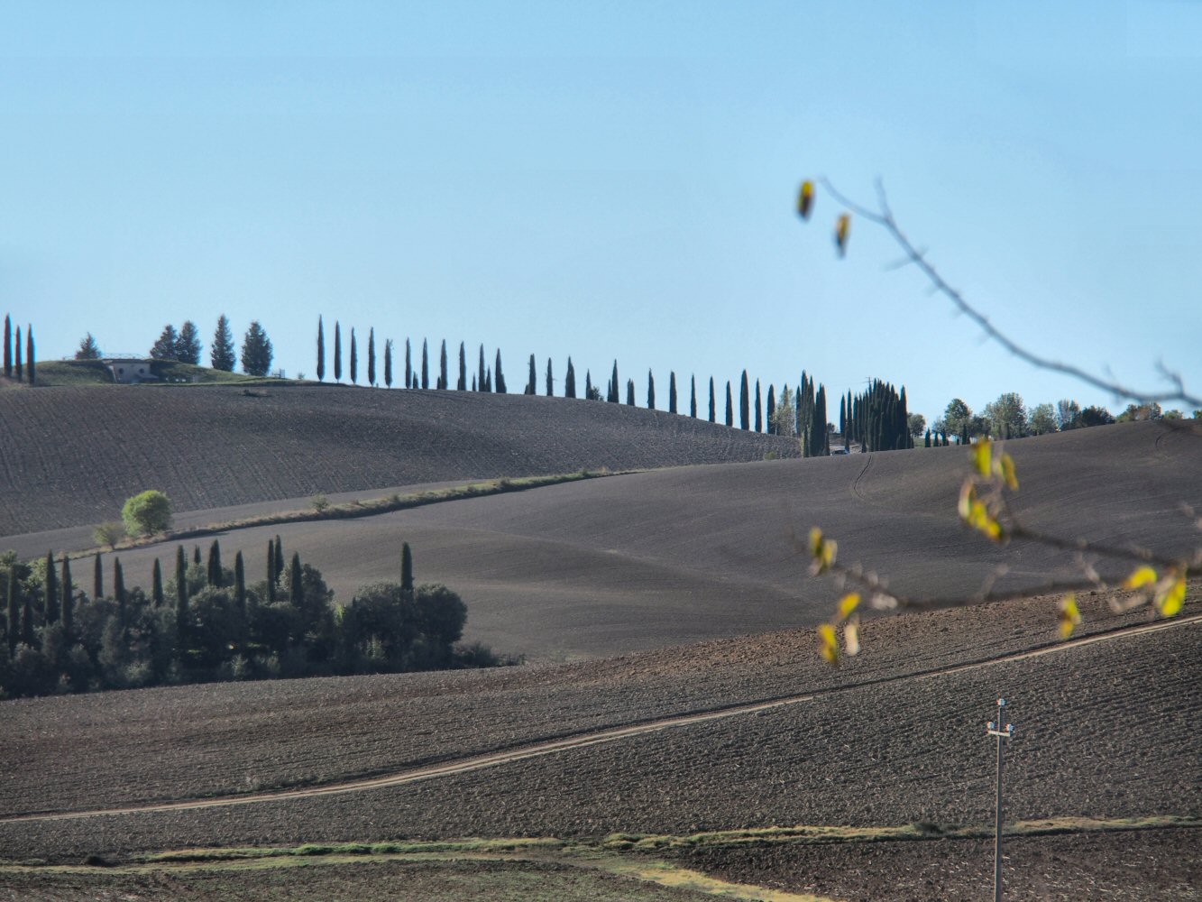 20261013 bolo rome E04 A131705