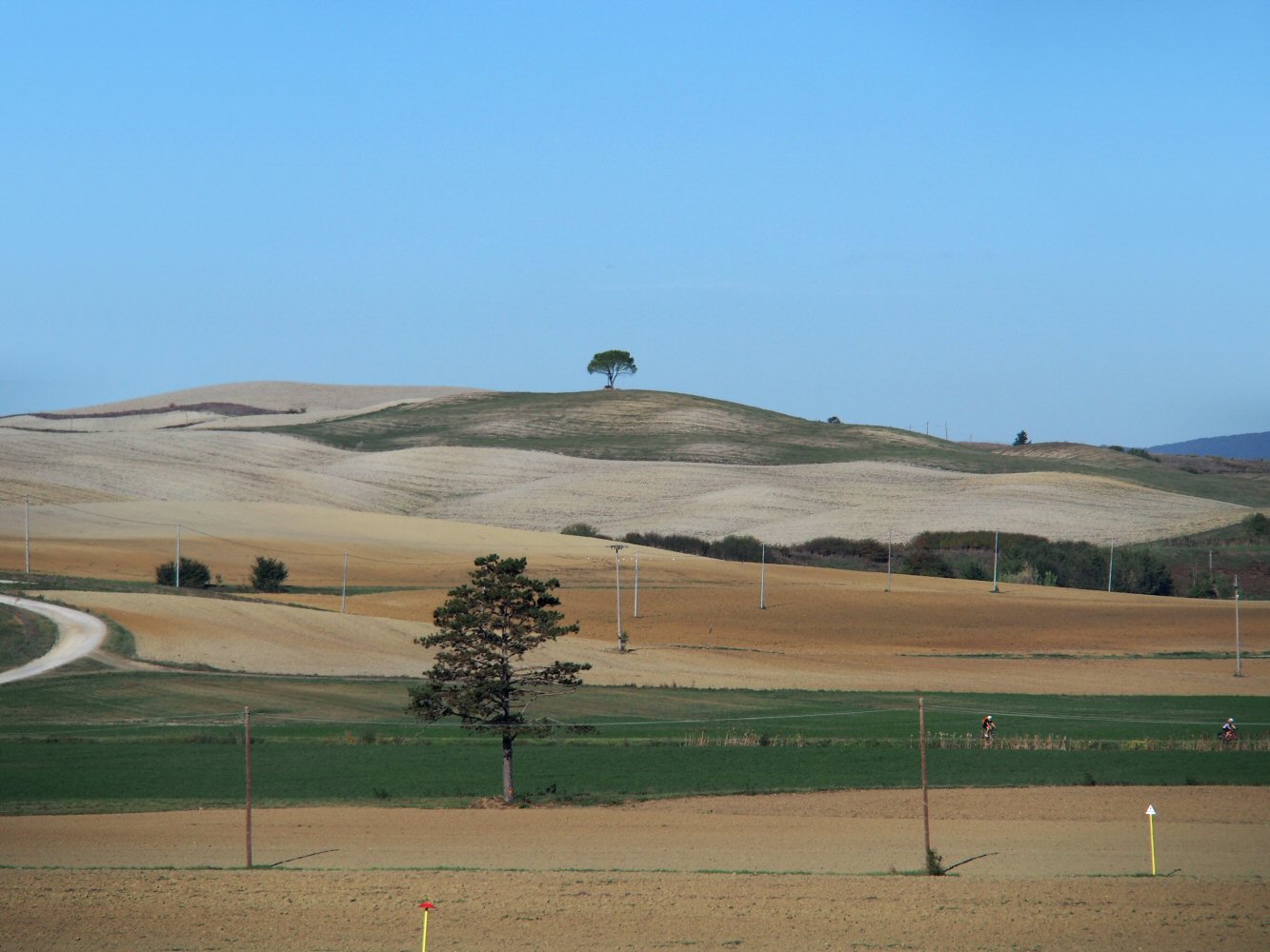 20261013 bolo rome E04 A131706