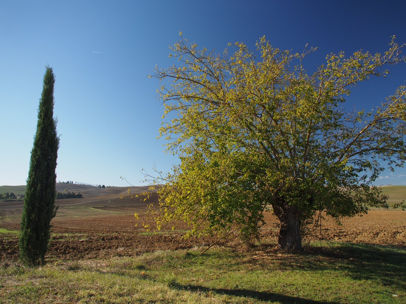 20261013 bolo rome E04 A131707