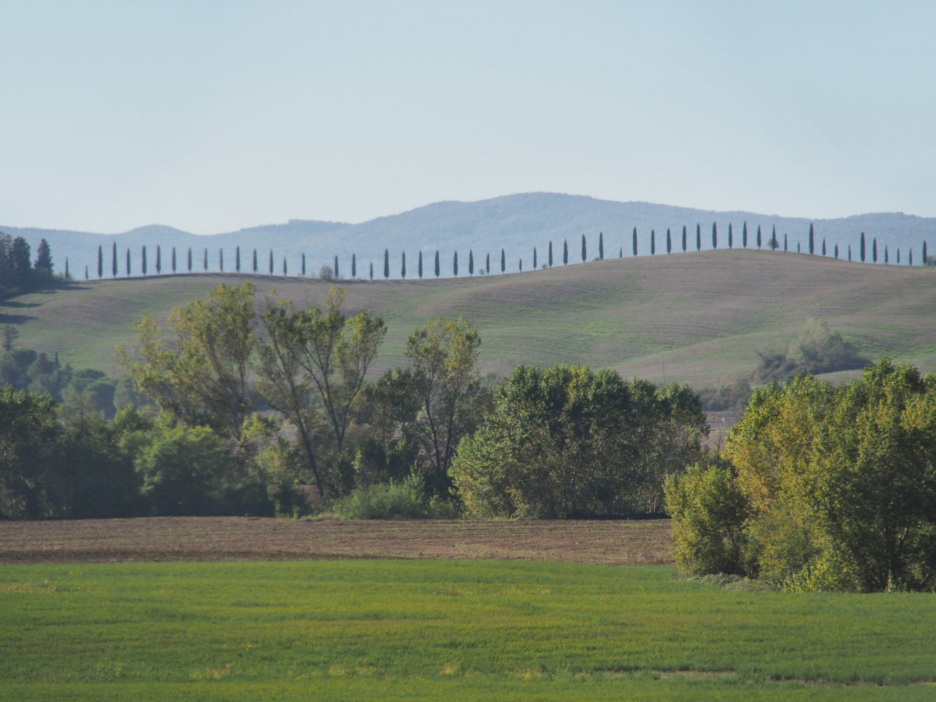 20261013 bolo rome E04 A131710
