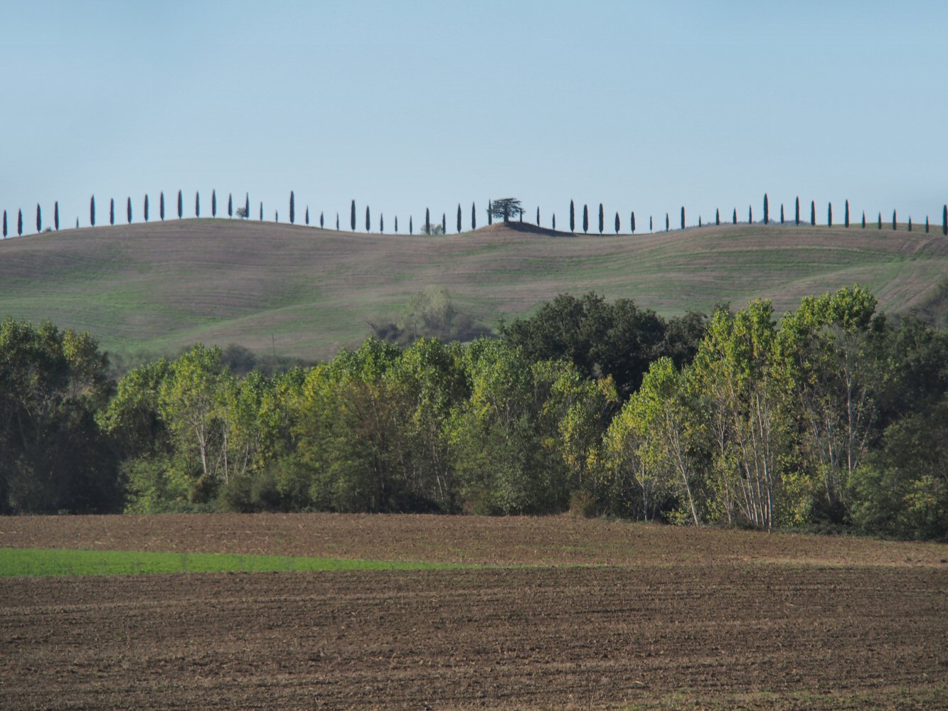 20261013 bolo rome E04 A131712