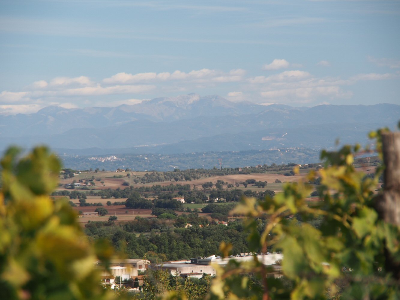 20261014 bolo rome E05 A141757