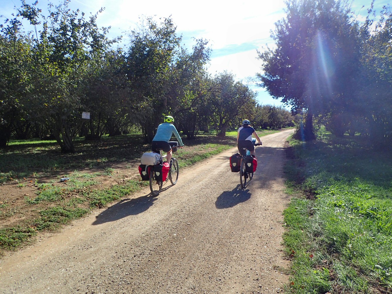 20261015 bolo rome E06 150055