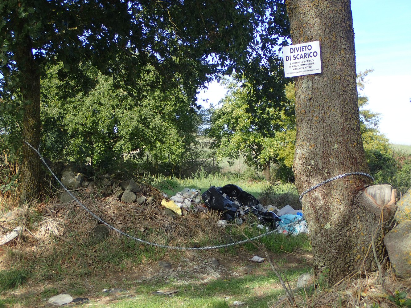 20261015 bolo rome E06 150056