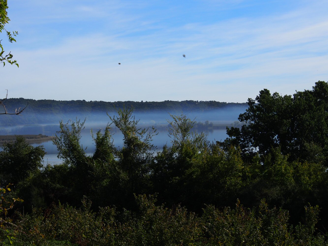 20261015 bolo rome E06 A151760