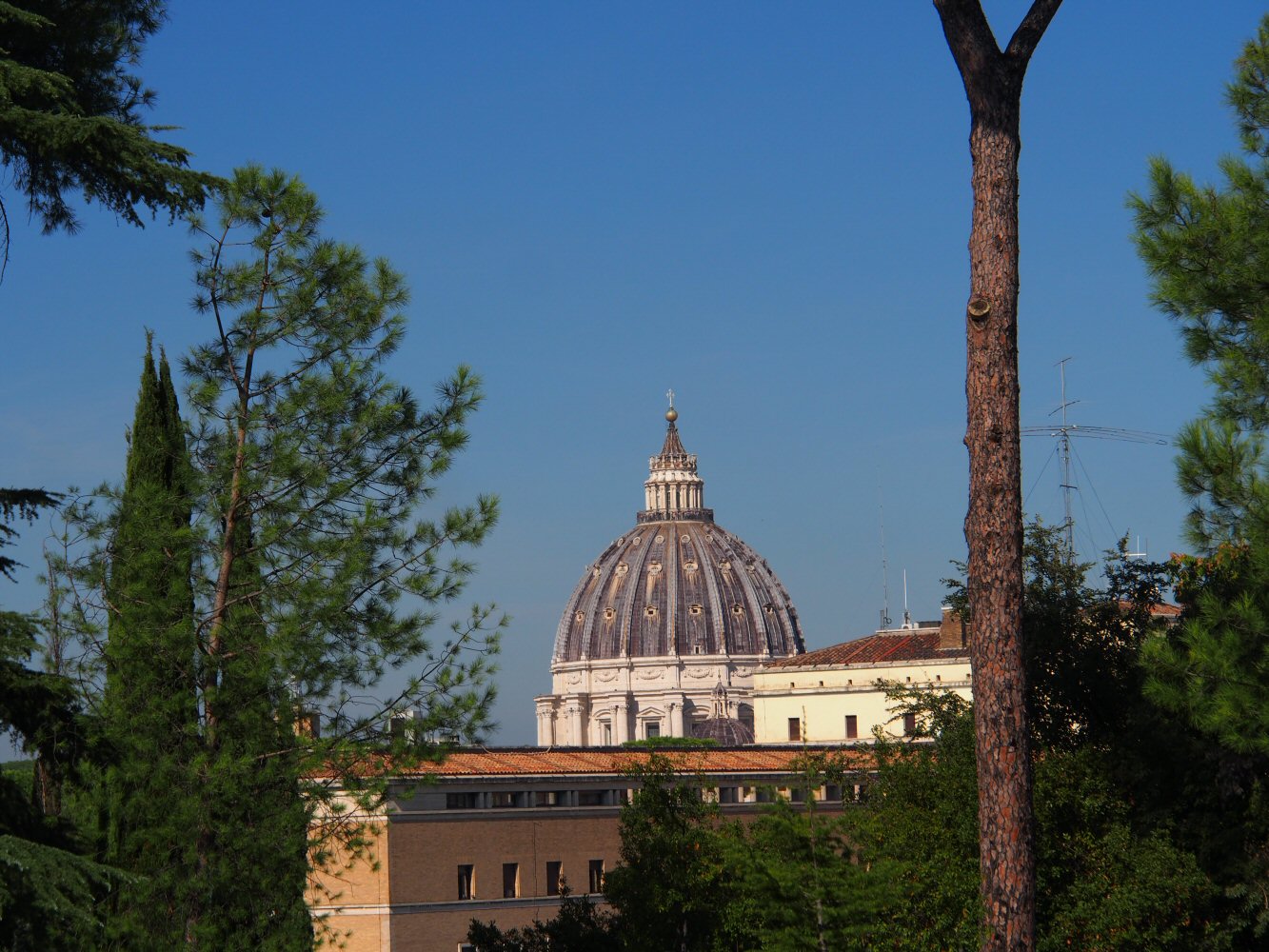 20261016 bolo rome E07 A161781