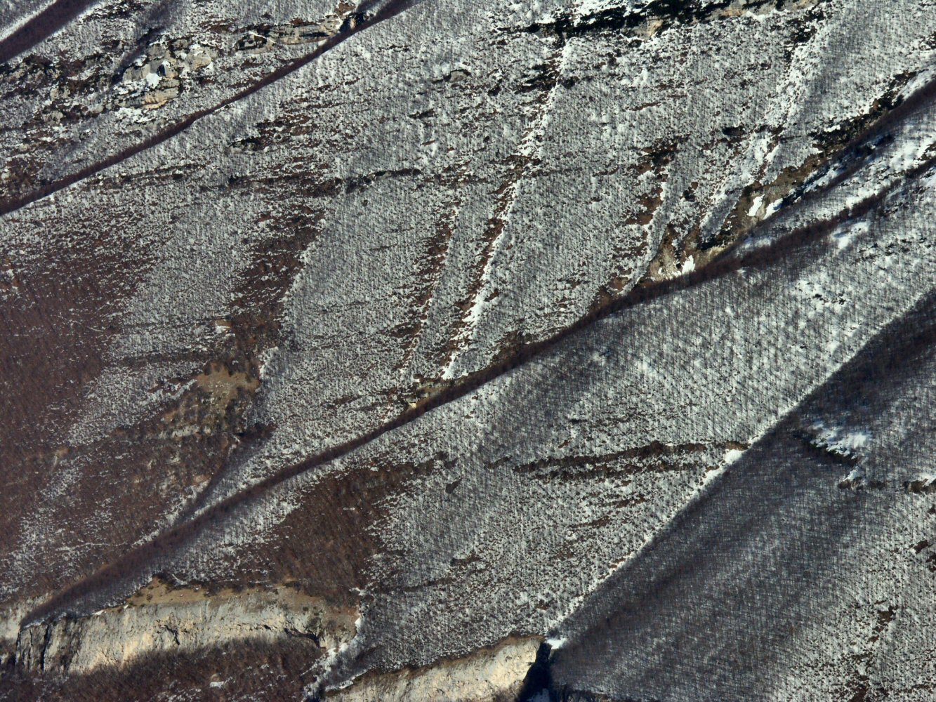 07 PESCOFALCONE 0232