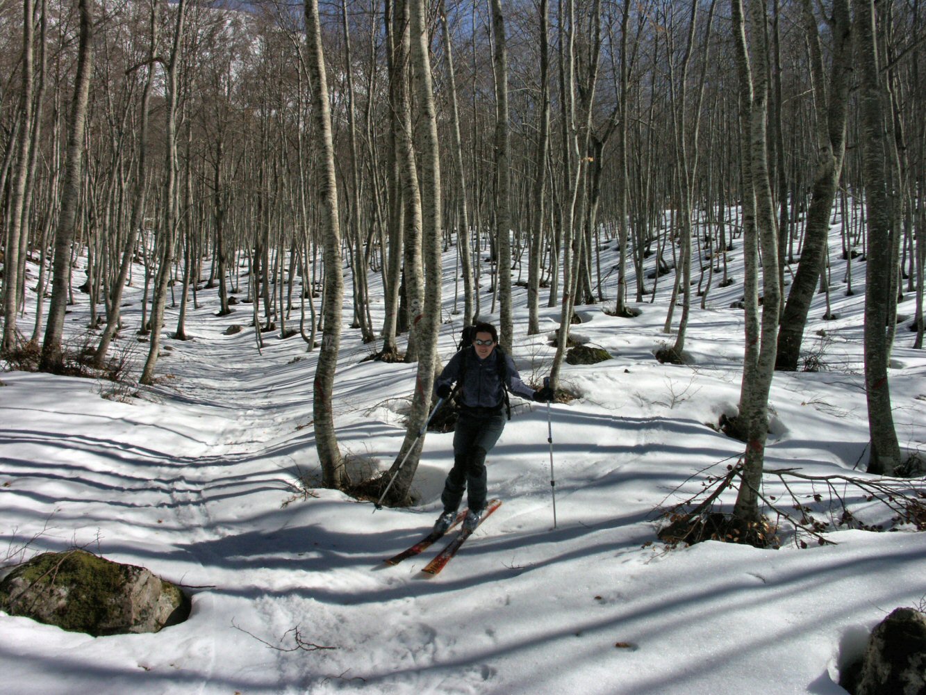 07 PESCOFALCONE 0239