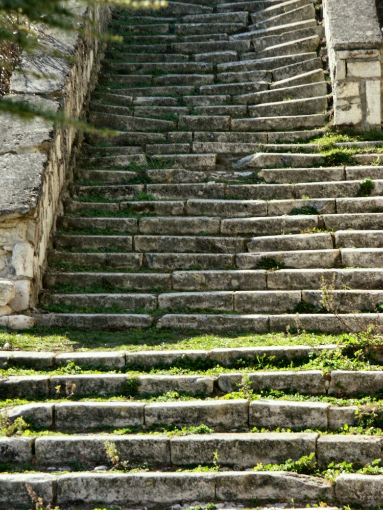 07 PESCOFALCONE 0243