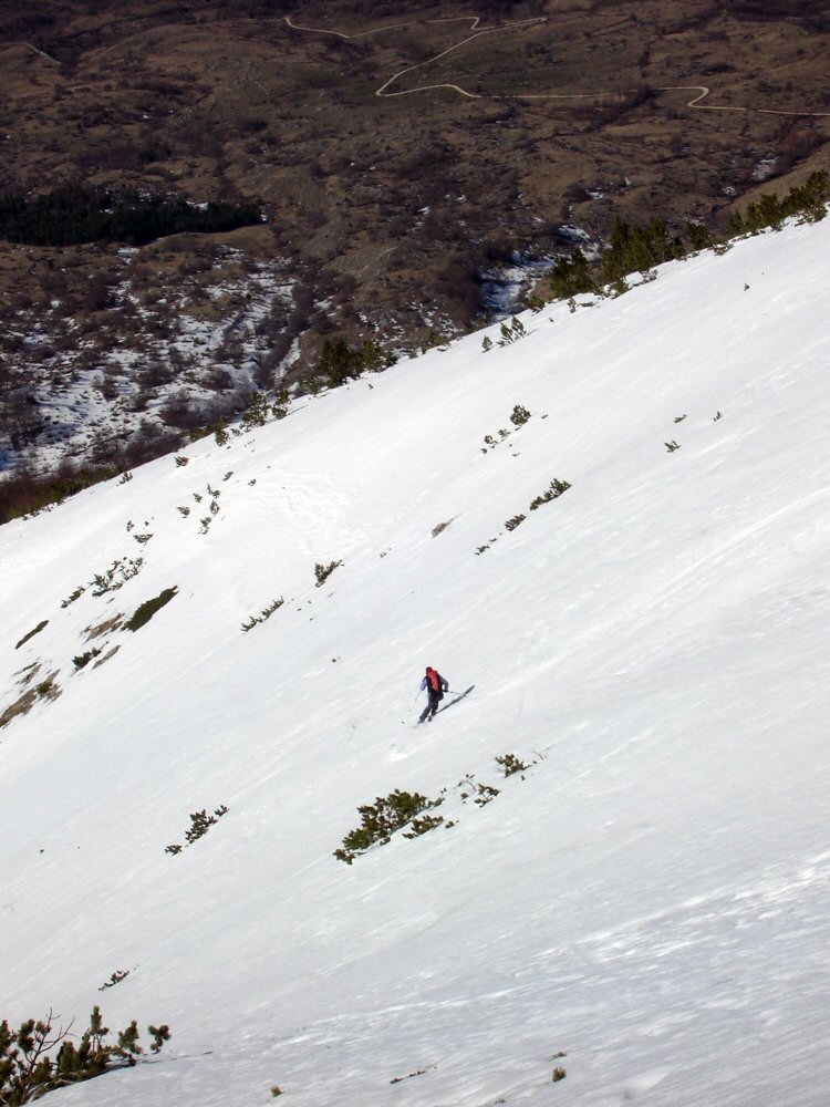 07 PESCOFALCONE 1407