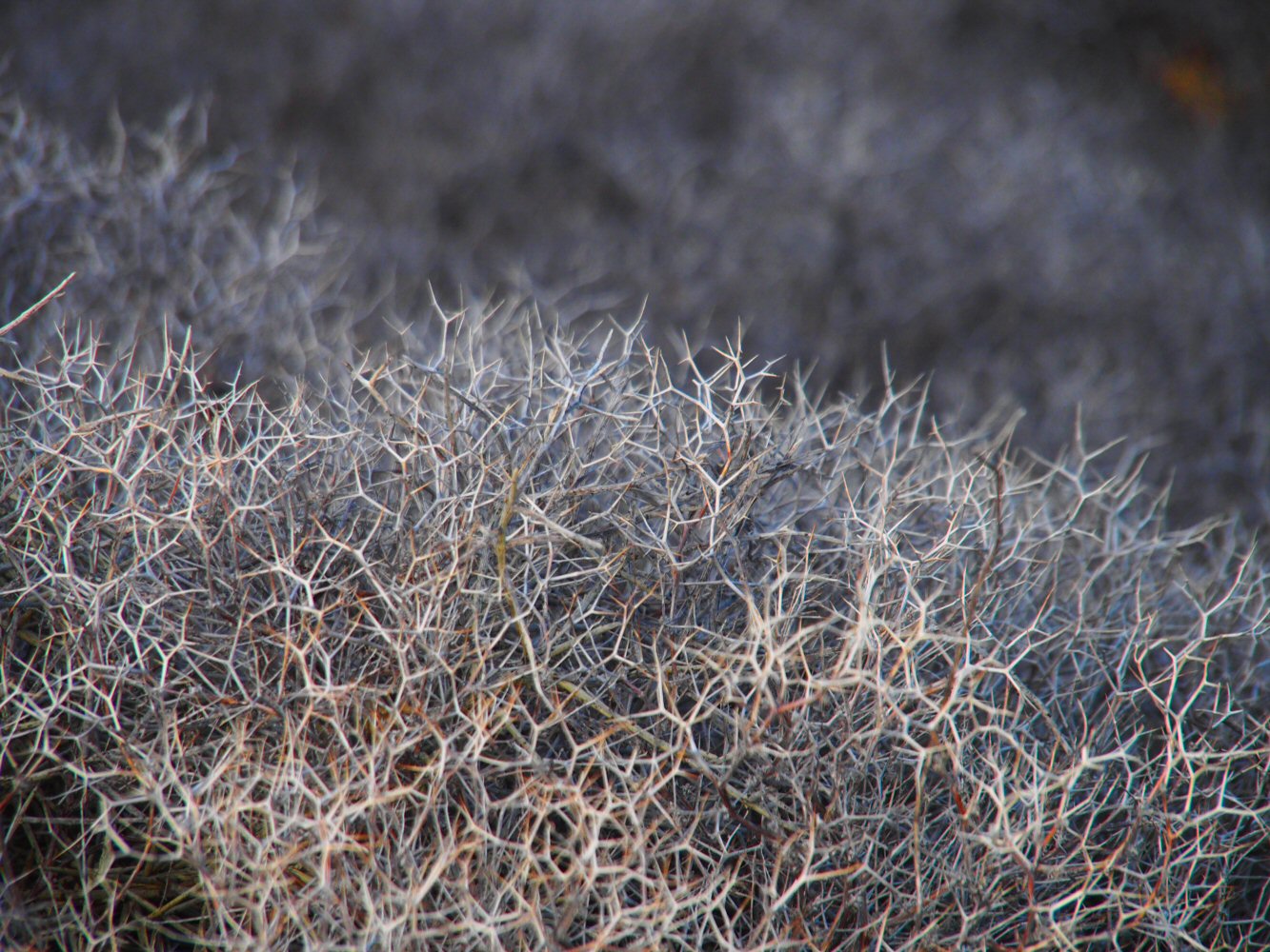 20251015 karpathos 150696