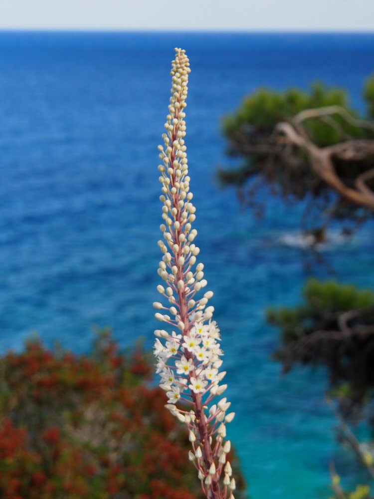 20251015 karpathos 150701