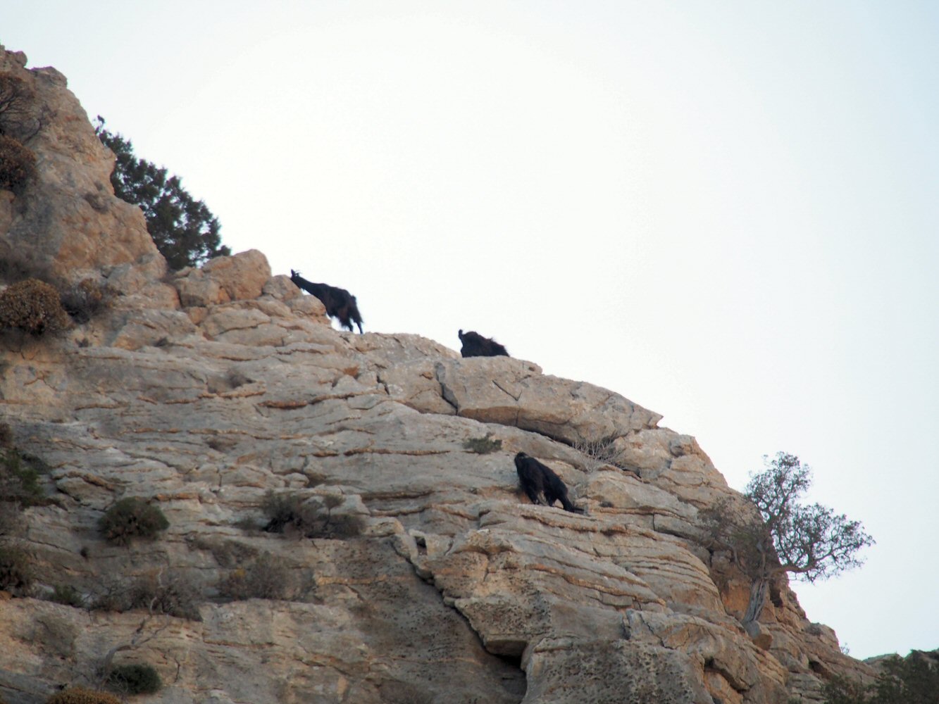 20251016 karpathos 160714