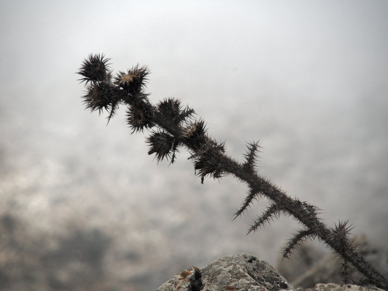 20251018 karpathos 180909