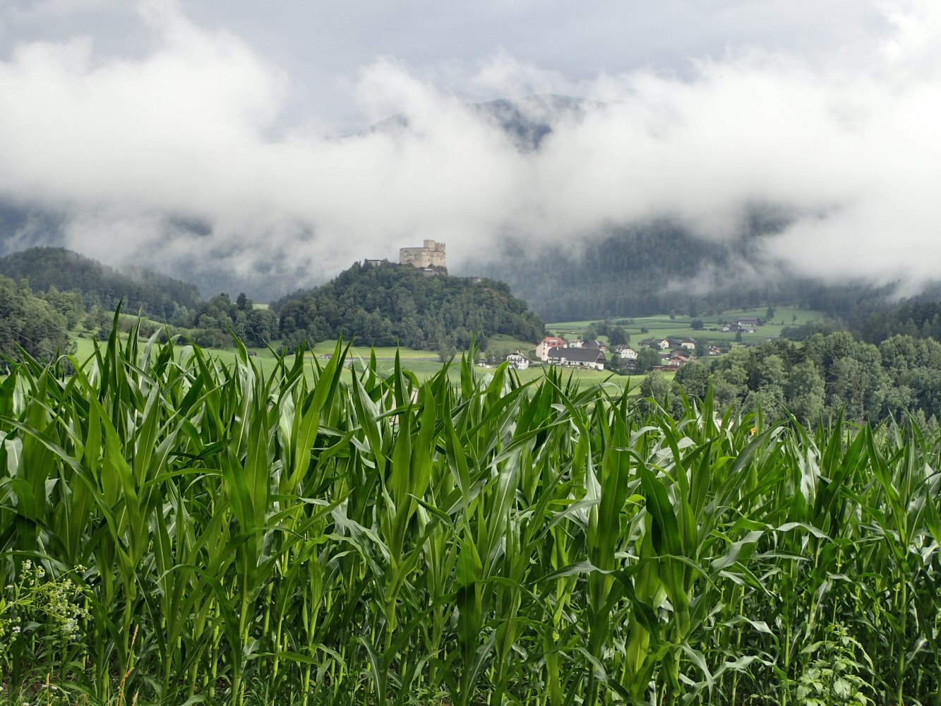 SCUOL KRK 0046 P7210034