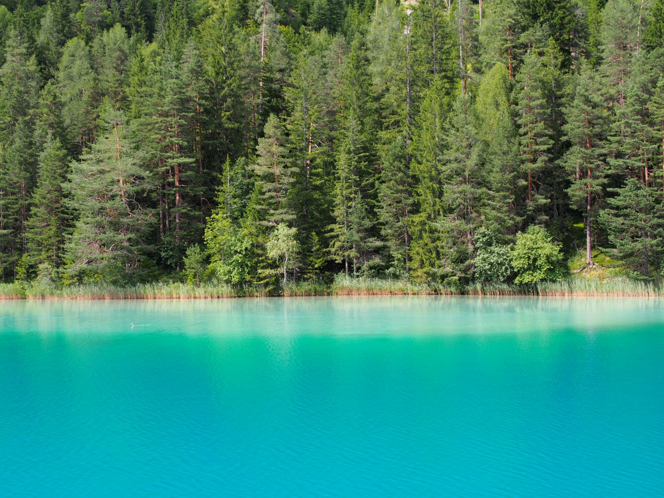 SCUOL KRK 0072 P7230171