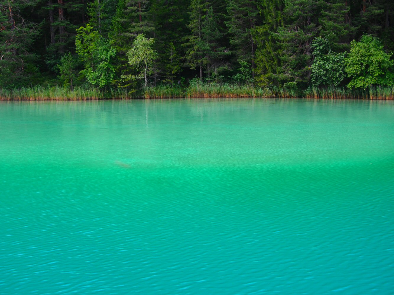 SCUOL KRK 0074 P7230177