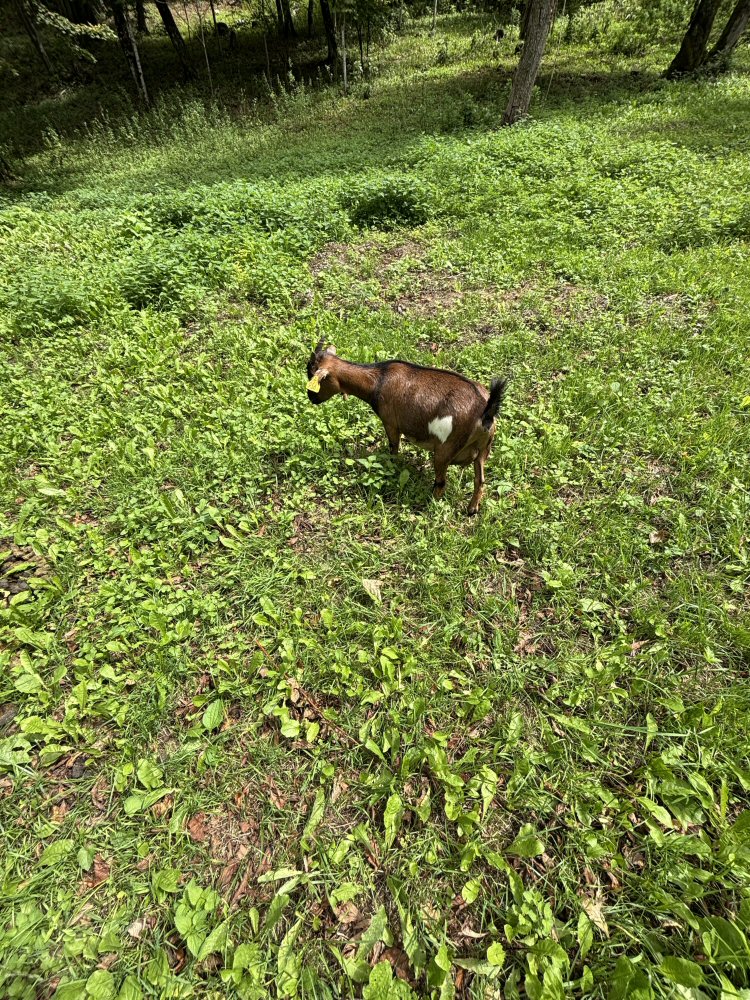 SCUOL KRK 0149b IMG 8847