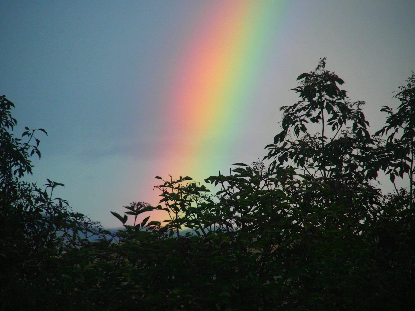 SCUOL KRK 0217 P7310274